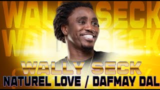 WALLY SECK LIVE NATUREL LOVE  LOVE AUTREMENT NOUVEAU VERSION [upl. by Hannasus606]