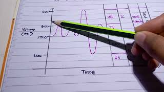 Pulmonary Volume and capacities l lungs volume and capacities l Easiest explanation with graph [upl. by Cymbre185]