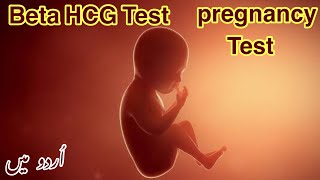 Beta HCG Test in urdu  Pregnancy Test  Blood Pregnancy Test in urdu  pregnancy positive test [upl. by Aicertap]