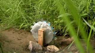 How to Make a Water Wheel Science Project [upl. by Ellyn]