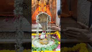 like share shortsvideo shorts trendingshorts bholenath mahadev mahakal [upl. by Wardlaw]