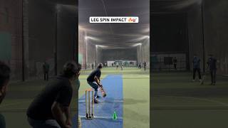 Cricket Leg Spin Impact 🔥 Spin Bowler Doing The Magic For The Team By Wickets 🏏 cricket shorts [upl. by Godfrey]