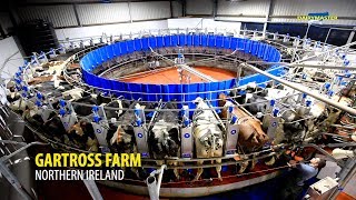 Milking cows in 50 Unit Rotary  Northern Ireland Gartross Farm [upl. by Siari]