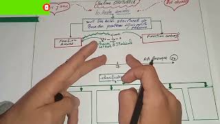 biochimie structuraleles acides aminés 1 [upl. by Caravette]