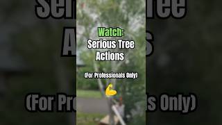 Serious Tree Actions 💪 [upl. by Kung325]