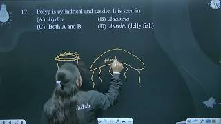 Polyp is cylindrical and sessile It is seen in [upl. by Iadrahc]