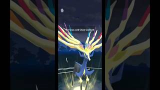 Xerneas Sweeps almost an Entire Team 🫎  Pokemon Go [upl. by Sivaj]