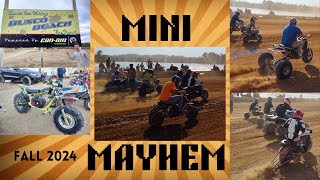 Mini Mayhem Fall 2024 with CarsandCameras [upl. by Kyrstin]