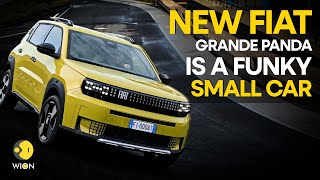 New Fiat Grande Panda unveiled as a funky small EV  WION Drive [upl. by Etnovahs]