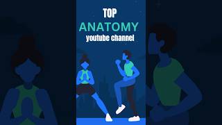 top youtube channel for anatomy JohariMBBS Anatomyzone medicalvirallearnanatomylikesub [upl. by Airemaj70]