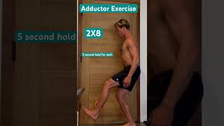 The best adductor exercise for you adductors exercises athomeworkout hipexercise [upl. by Sucramat]