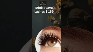 Mink Suave Lashes  159 [upl. by Tsui]