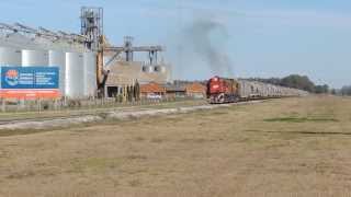 Tren de BCyL asegurado por locomotoras ALCO RSD35 6454  6466 [upl. by Ecyned]