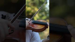 Everything That Kills Me Makes Me Feel Alive onerepublic countingstars violin fyp violincover [upl. by Melgar]