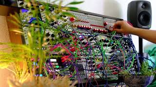 Modular 37 Come To Light  Ambient  Modular404  Loquelic Iteritas Morphagene Verbos Multi Delay [upl. by Aleen]