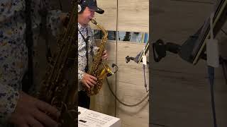 瀟灑走一回。sopranino amp ALTO saxophone [upl. by Arramahs547]