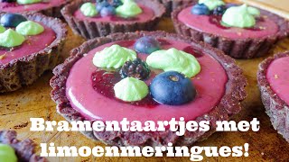 Recept voor Bramen Taartjes met Limoen Meringues  Bakken met Bastaart [upl. by Asirrac]