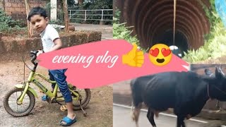 evening vlog 👍😍funny cutebaby comedy food evening zayanvlog [upl. by Pich]