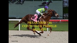 PREAKNESS 149 CONTENDER PROFILE  MUGATU [upl. by Larimore966]