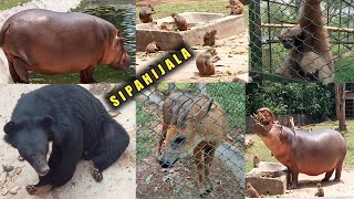 Sepahijala Zoological Park First Time Berai Mani  Sepahijala Park  Sukudhan Vlog [upl. by Navac]