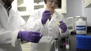 Shaking the Nanomaterials Out New Method to Purify Water [upl. by Nyladnewg]