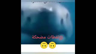 الموة ديل الدحك خلي معاك جيما الفديو وش تعليق زوين بخل [upl. by Llereg489]