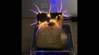 Electromagnetic TOAST ⚡️ [upl. by Cooe]