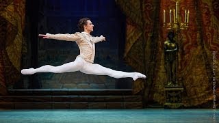 Sergei Polunin  Grand Pas from the ballet Paquita [upl. by Aiclef174]