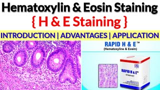 What is Hematoxylin amp Eosin Staining H amp E Stain H amp E stain Purpose  Applications Advantages [upl. by Nilek]