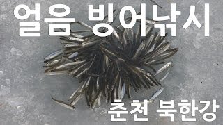 얼음 빙어낚시 북한강 정중앙에서 즐겁게 [upl. by Adin]