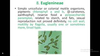 classification of algae by Fritsch [upl. by Enyal]