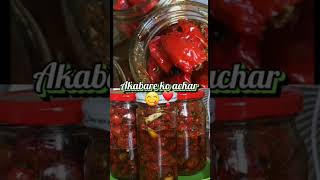 Nepali🇳🇵akabare ko achar 🤗😋❣️ nepalisong shorts akbarekoachar rukumaikota [upl. by Vania898]