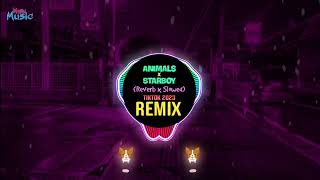 Animals x Starboy Slowed To Perfection DJ抖音版 Tiktok Remix 2023  Hot Tiktok Douyin [upl. by Trisa]