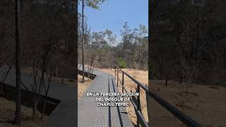 Parque Serpientes y Escaleras en la tercera sección del Bosque de Chapultepec [upl. by Avraham278]