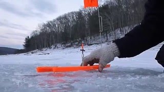 First Time Ice Fishing the Allegheny Reservoir [upl. by Idonna]