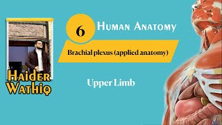 Upper limb anatomy  Lecture 6  Brachial plexus applied anatomy [upl. by Niuqaoj]