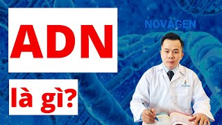 2 ADN là gì Đặc điểm Cấu tạo Cấu trúc không gian và Chức năng của ADN Dr Hoàng NOVAGEN [upl. by Lillie]