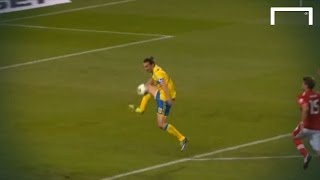 Zlatan Ibrahimović great goal  Sweden v Austria [upl. by Heath962]