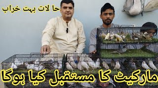 Birds Market Lalukhet Sunday Video Latest Update 10324 in Urdu [upl. by Asirrom]