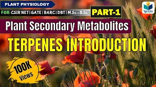 PLANTS SECONDARY METABOLITES PART1  CSIR NET PLANT BIOLOGY [upl. by Haibot]