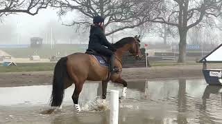 Eric Hickstead XC schooling [upl. by Jeffers6]