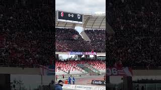 Il gemellaggio tra Bari e Sampdoria si rinnova allo stadio San Nicola 🔴🔵⚪ [upl. by Haliak]