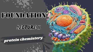 Protein Lecture 4 classification of proteins Biochemistry Dr Adham saleh [upl. by Kirst119]