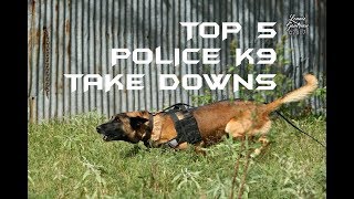 Top 5 Police K9 Take Downs [upl. by Aicilaana850]