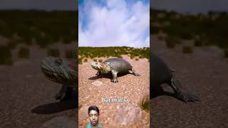 Can A Turtle Take Off Their Shell 🐢 Wait For End 😨 turtle shorts reaction greenscreen [upl. by Nena]