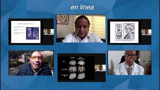 3er Diplomado de Neuroanatomía Funcional con Orientación Clínica en Línea [upl. by Ronalda]