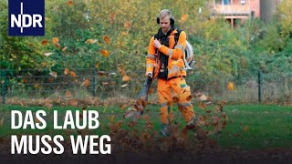 Hochbetrieb im goldenen Herbst  Die Nordreportage  NDR Doku [upl. by Aurthur]