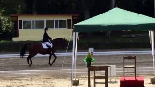 Ripresa Dressage E 206 ed 2016 [upl. by Mari]