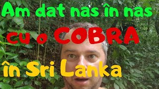 Povești la gura sobei  Sri Lanka  O experiența spirituala [upl. by Kcoj]