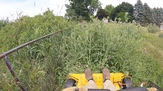 Cutting Real Tall Grass Hustler Raptor Zero Turn [upl. by Revilo969]